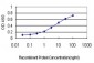 SSR4 Antibody (monoclonal) (M01)